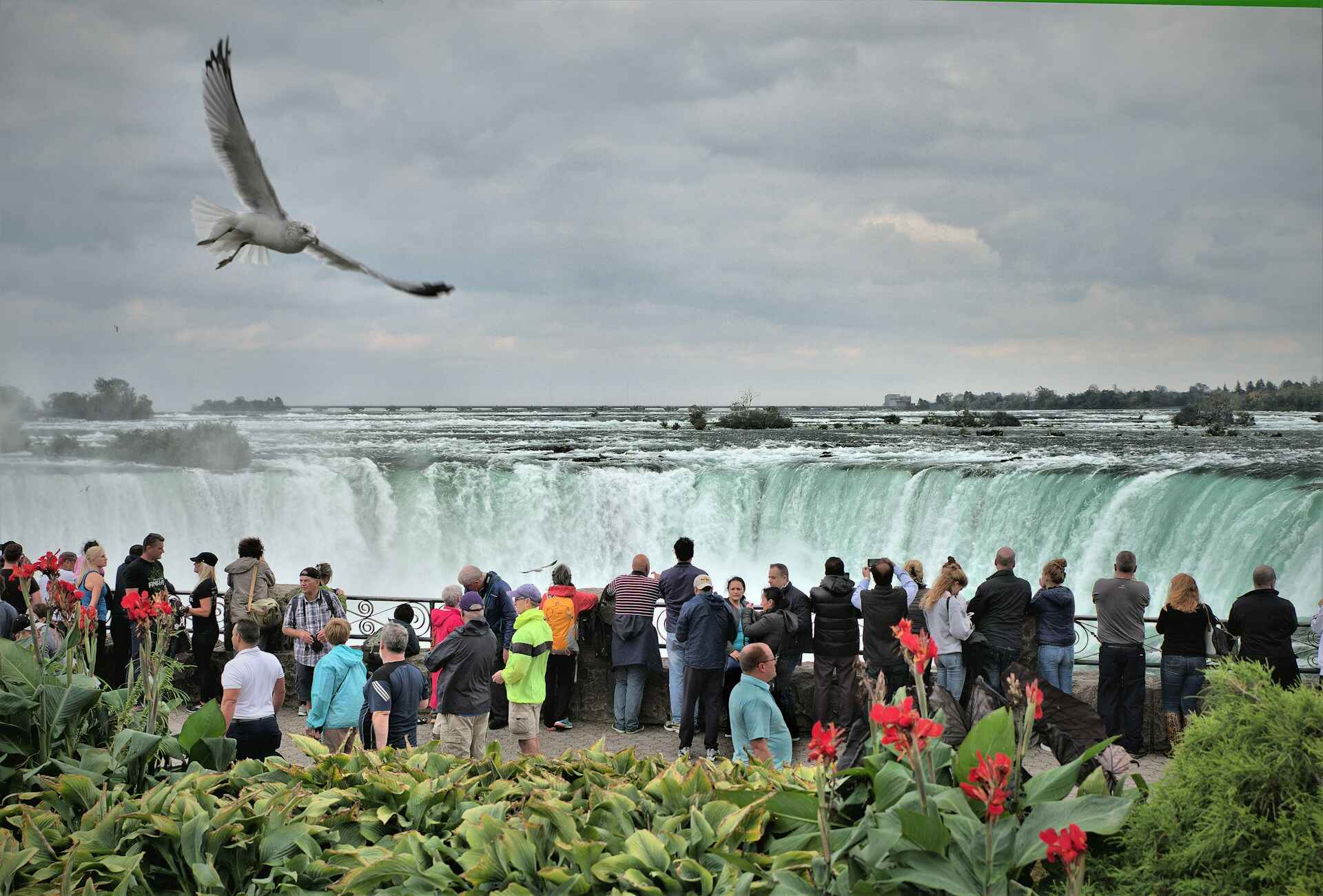 Tour Image